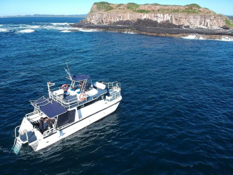 Gold Coast: Cook Island Marine Reserve Scuba Experience Dive - Value and Practicalities