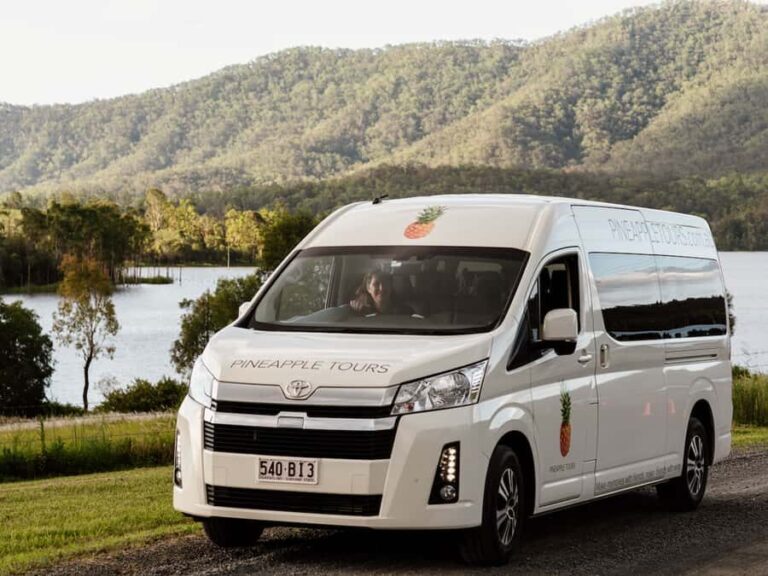 Gold Coast: Daytime Glow Worm Caves and Hop-on Hop-off Tour - Transport, Guides, and Group Size