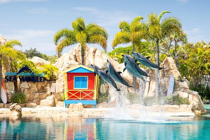Gold Coast Hop On Hop Off Sightseeing Cruise 1 Day Pass - The Itinerary in Detail
