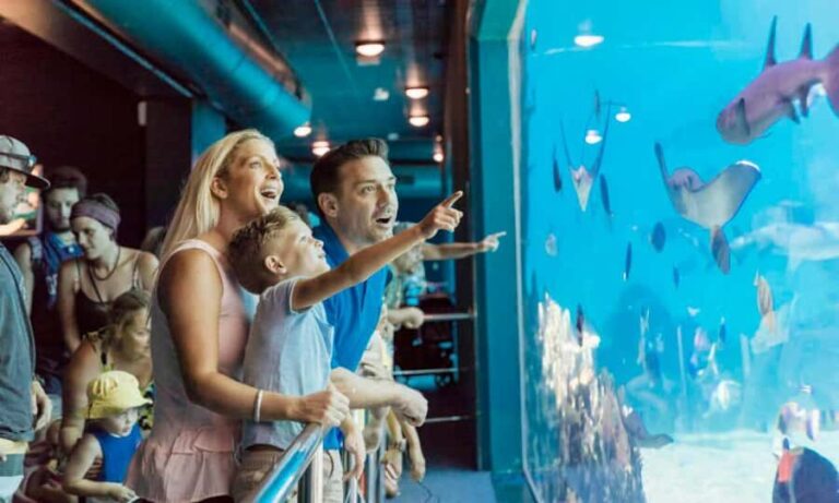 Gold Coast: Jet Boat Ride & Sea World Entry Ticket - What Makes This Tour Stand Out?