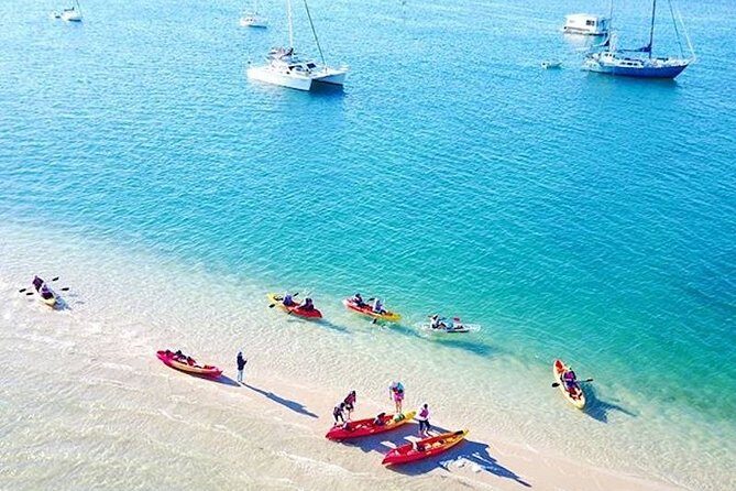 Gold Coast Kayaking & Snorkelling Tour (2.5 Hours) - Why Choose This Tour?