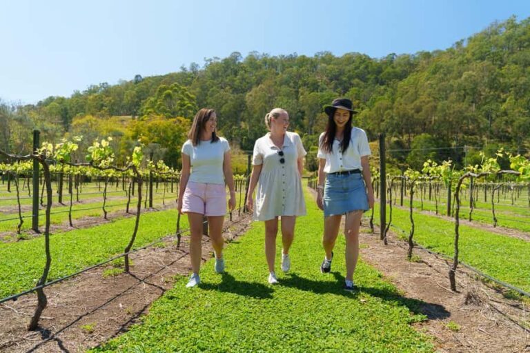 Gold Coast: Lamington Treetops, Wildlife and Vineyard Visit - Exploring Lamington National Park