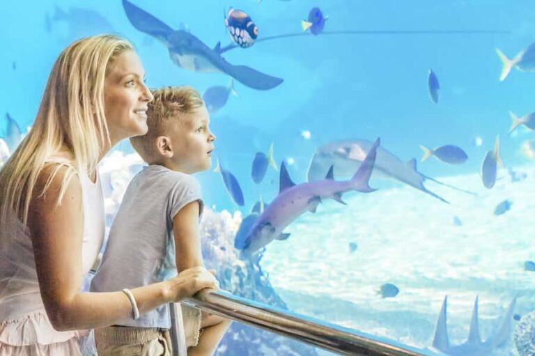 Gold Coast: Movie World, Sea World & Wet'n'Wild 7-Day Pass - What to Expect Each Day