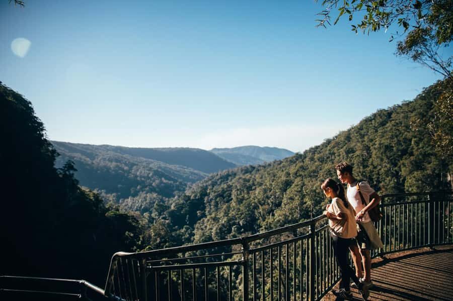Gold Coast: Natural Bridge & Springbrook Waterfalls Tour - What You’ll Love About This Tour
