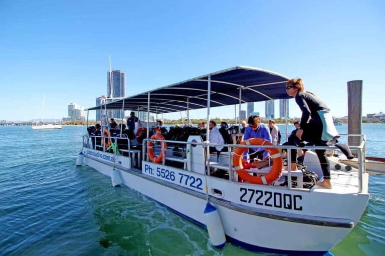 Gold Coast: Snorkelling in Wave Break Island - What the Reviews Say