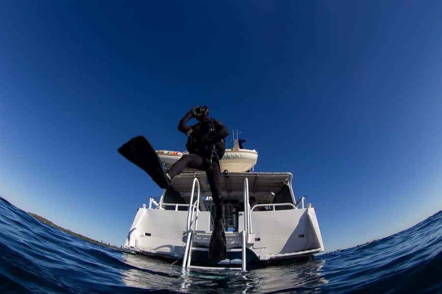 Gold Coast: SSI Open Water Diver Course - Who Will Love This Experience?