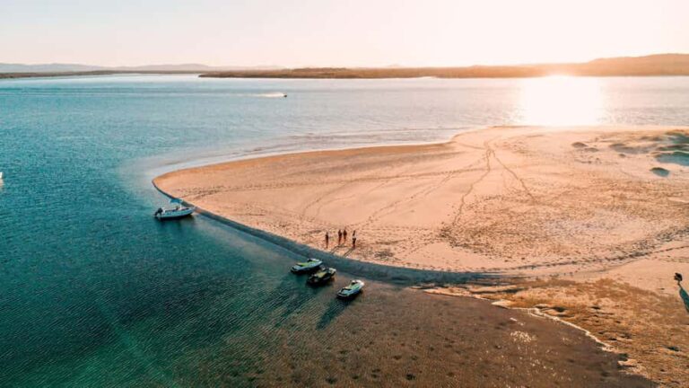 Gold Coast: Stradbroke Island Jetski Tour - Wildlife Encounters and Nature Highlights