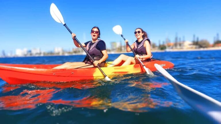 Gold Coast: Wave Break Island Kayaking & Snorkeling tour - Price and Value