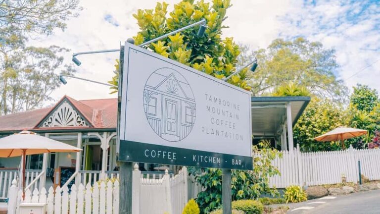 Gold Coast: Wine, Distillery & Rainforest Day Tour - What Makes This Tour Stand Out?