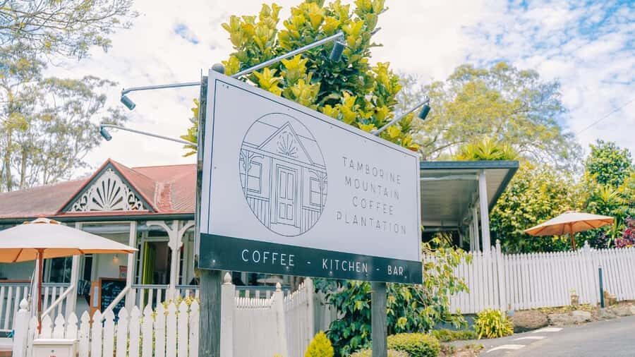 Gold Coast: Wine, Distillery & Rainforest Day Tour - What Makes This Tour Stand Out?