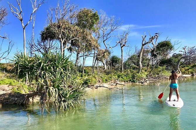 Golden Beach 1-Hour Stand-Up Paddleboard Hire on the Sunshine Coast - The Itinerary: More Than Just a Paddle
