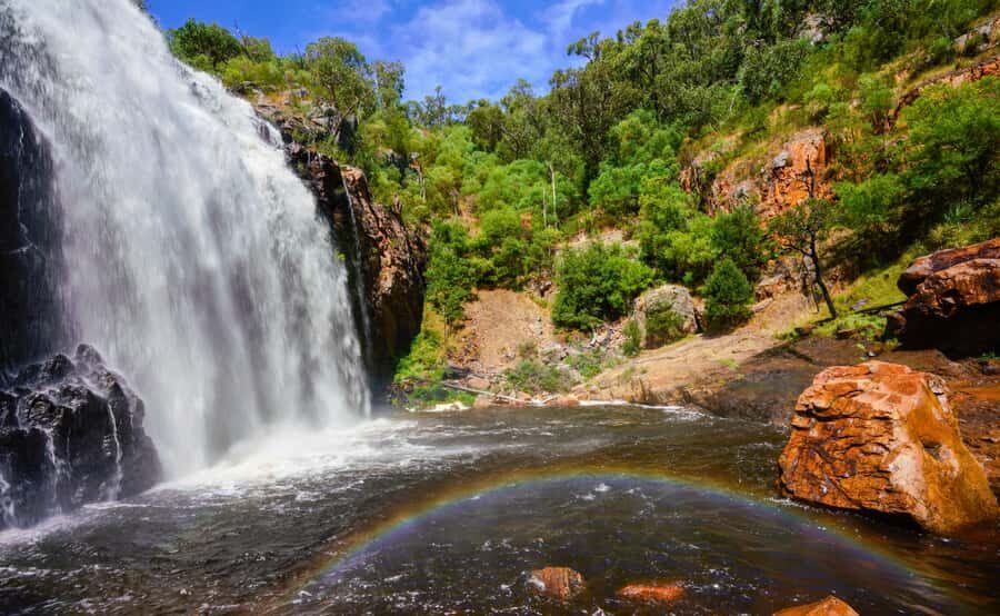 Grampians National Park Small-Group Eco Day Tour - Who Will Love This Tour?