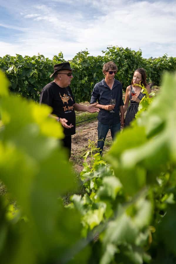 Grape to Glass Master Class - The Tasting: A Closer Look at Quality and Character