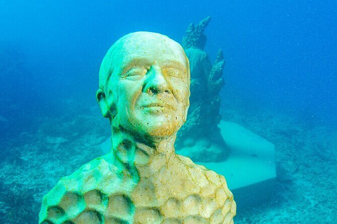 Great Barrier Reef and MOUA Snorkeling Day Tour from Townsville - Who Will Love This Tour?