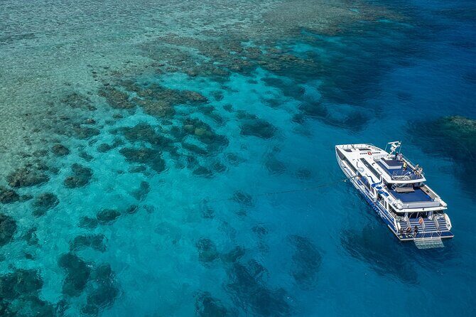 Great Barrier Reef Full Day Tour from Cairns - The Value of This Reef Tour