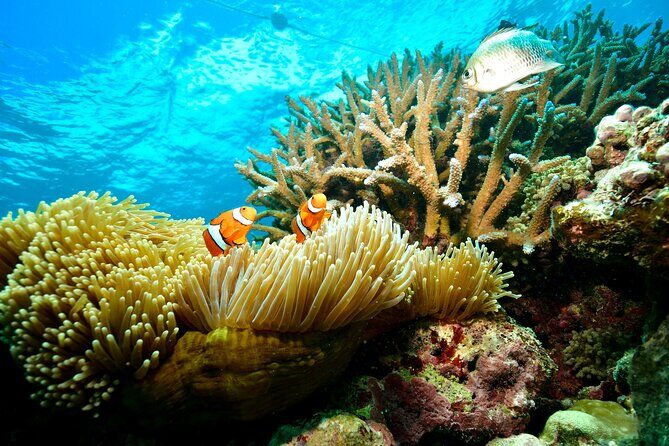 Great Barrier Reef Indulgence Package from Cairns - The Private VIP Area: A Comfortable Base