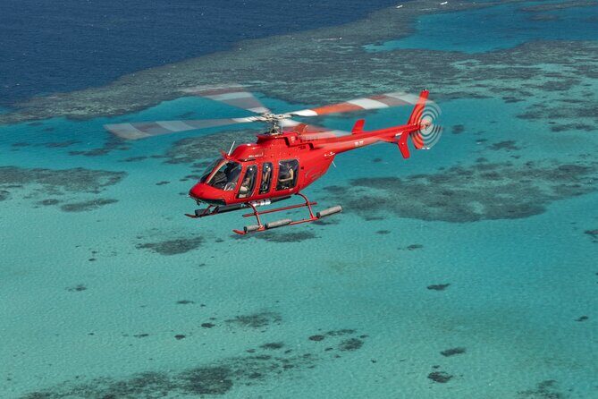 Great Barrier Reef or Rainforest Scenic Flights from Port Douglas - What’s Included and How It Works