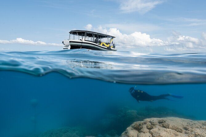 Great Barrier Reef Small Group Snorkelling Adventure - Who Will Love This Tour?