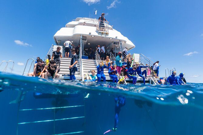 Great Barrier Reef Snorkeling and Diving Cruise from Cairns - Real Voices: Authentic Feedback from Travelers