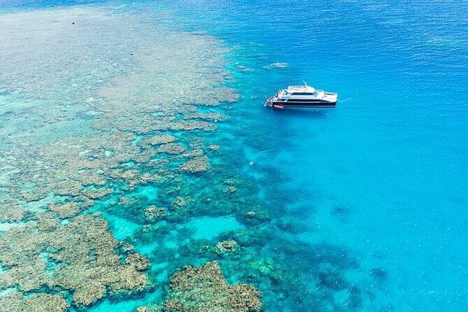 Great Barrier Reef with Cultural Guides-Dreamtime Dive & Snorkel - The Itinerary: What to Expect