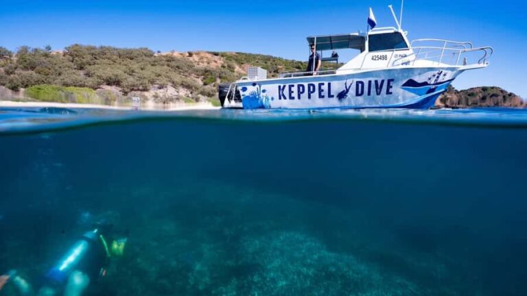 Great Keppel Island: PADI Discover SCUBA Diving - Practical Tips for Participants
