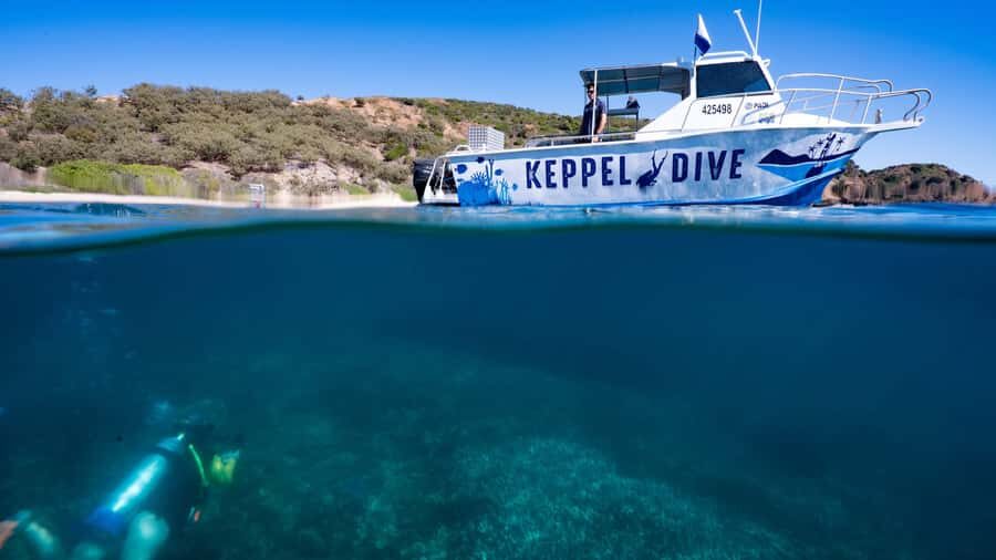 Great Keppel Island: PADI Discover SCUBA Diving - Practical Tips for Participants