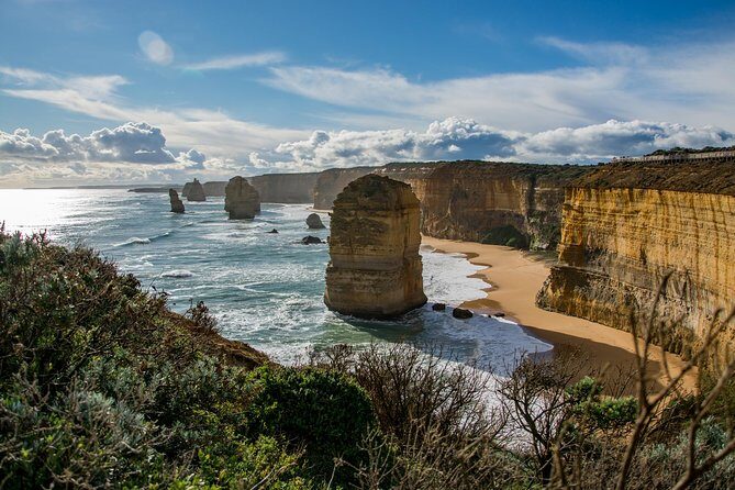Great Ocean Road 12 Apostles & Rainforest Walk with Morning Tea - Value for Money