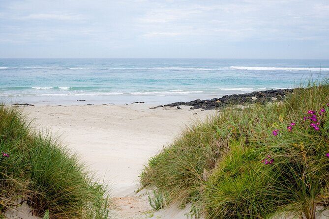Great Ocean Road and 12 Apostles Tour - Practical Considerations