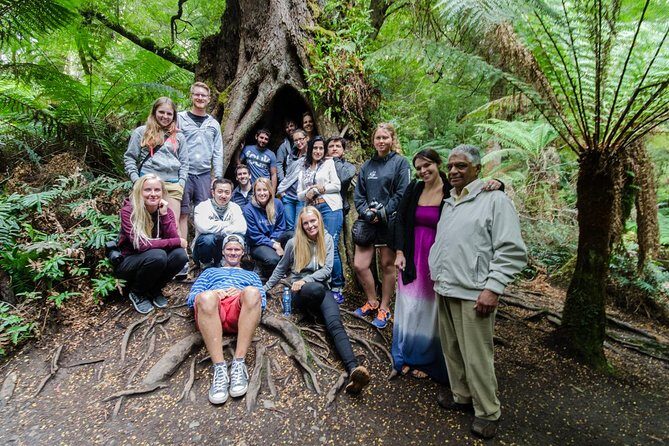 Great Ocean Road Grampians 2 Day Overnight Tour from Melbourne - Who Is This Tour Best For?