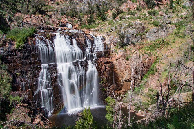 Great Ocean Road Grampians 2 Day Tour from Melbourne to Adelaide - What Travelers Say