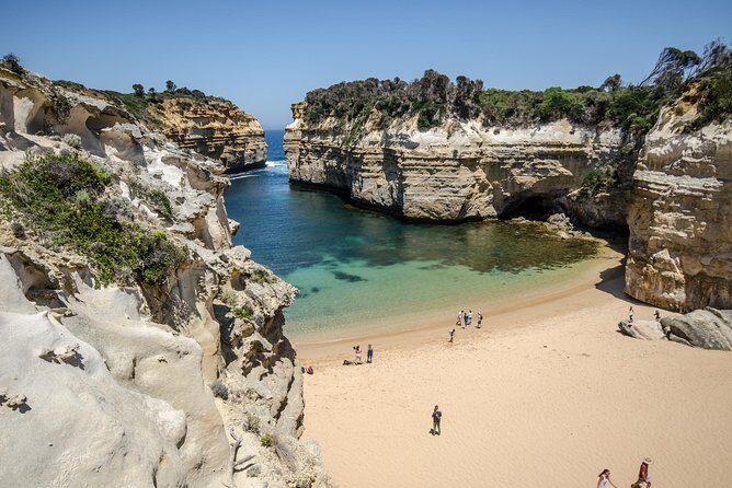 Great Ocean Road Reverse Rainforest & 12 Apostles from Melbourne - The Value and Who Should Consider This Tour