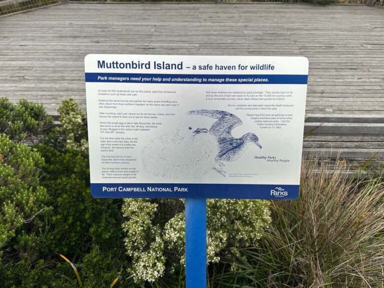 Great Ocean Road reverse Sunrise Tour - What Makes This Tour Stand Out