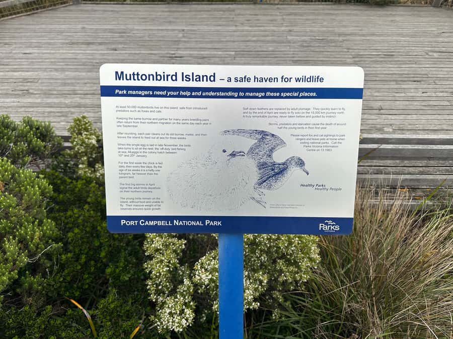 Great Ocean Road reverse Sunrise Tour - What Makes This Tour Stand Out