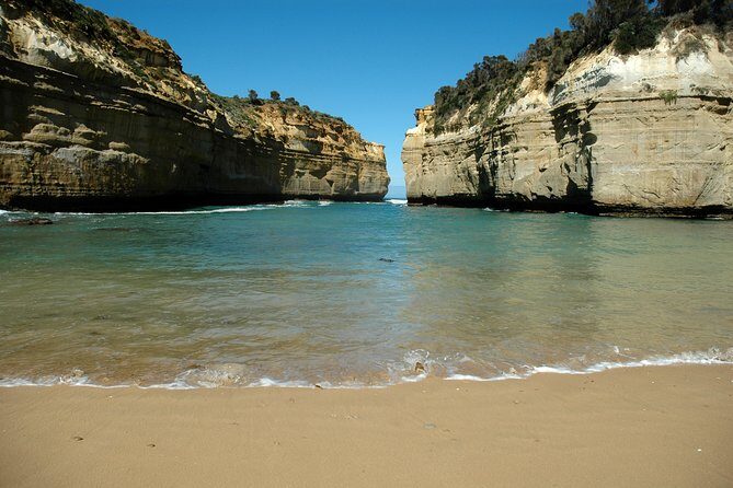 Great Ocean Road Tour Plus Koalas, Forest Walk and Morning Tea - Detailed Breakdown of the Itinerary