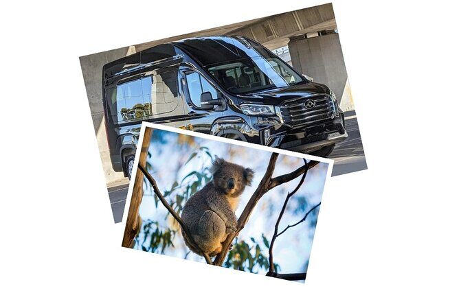 Great Ocean Road Tour Reverse SML GRP-DLUX Mini Bus Hotel Pickup - The Comfort of the Transport and Guide