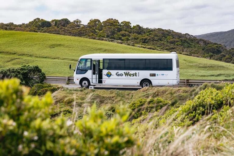 Great Ocean Road Tour w/ Deluxe Minibus & Top-Rated Guide - The Value of This Tour