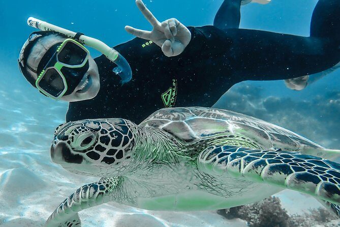 Green Island Full Day Trip from Cairns with City Transfers - What the Reviews Reveal