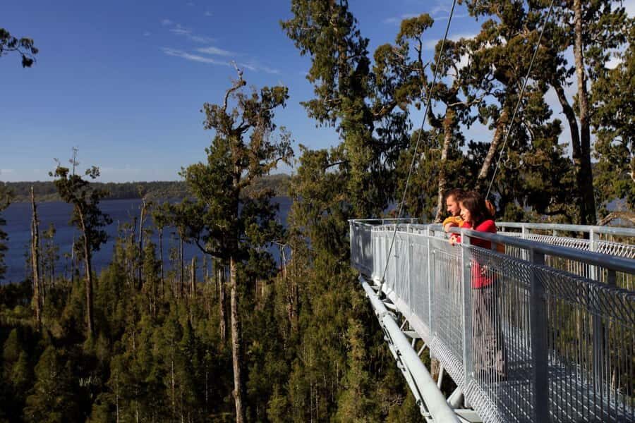 Greymouth: Full-Day Best Of The West Tour - The Value of This Tour