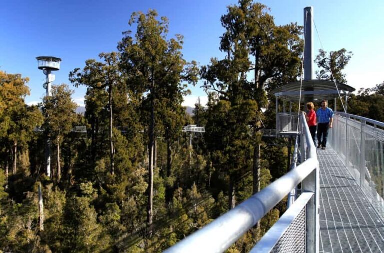 Greymouth: Hokitika Gorge and Tree Top Walkway Half-Day Tour - Practical Details & What to Expect