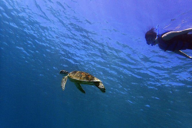 Guam's Private 5 Star Guided Snorkeling Tour! - The Itinerary – What to Expect from Start to Finish