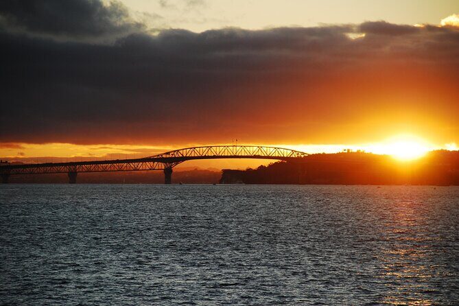 Guided Auckland Highlights Half Day City Tour - Authentic Insights from Past Travelers