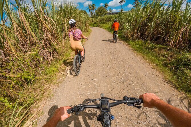 Guided E-bike Tour - The Sum Up: Who Should Try This Tour?