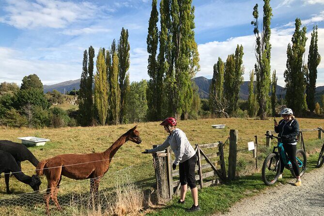 Guided eBike Wine Tour Ride to the Vines - The Practicalities and Value