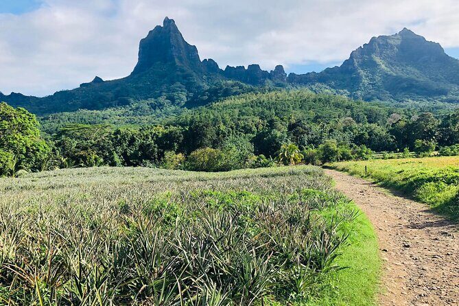Guided Excursion in 4x4 in Moorea between Land and Sea - The Sum Up