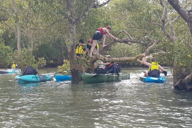 Guided Kayak Adventure Tour - Who Is This Tour Best For?
