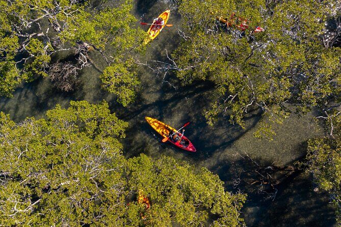 Guided Kayak Tour - What We Love and What to Consider