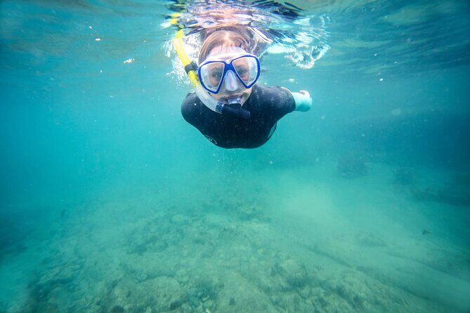 Guided Snorkeling and Island Exploration in Auckland - Why Value and Comfort Matter