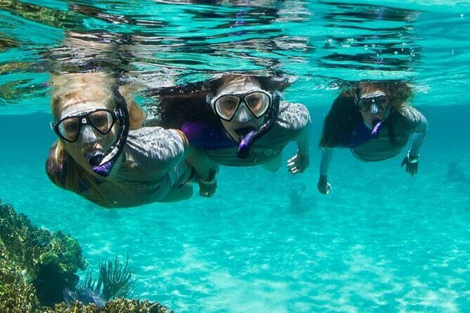 Guided Snorkeling Experience in Bondi - Final Thoughts