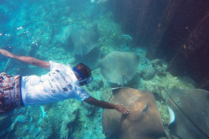 Guided Snorkeling Trip - Authenticity and Real Experiences