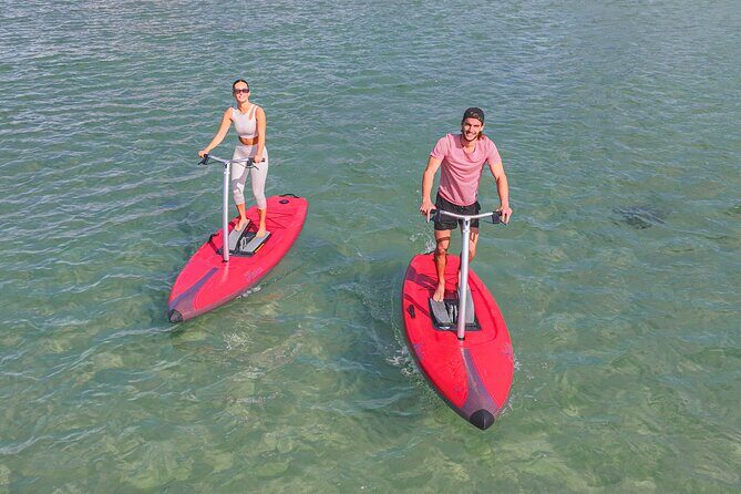 Guided Step-Up Paddle Board Tour of Narrabeen Lagoon - Detailed Breakdown of the Itinerary